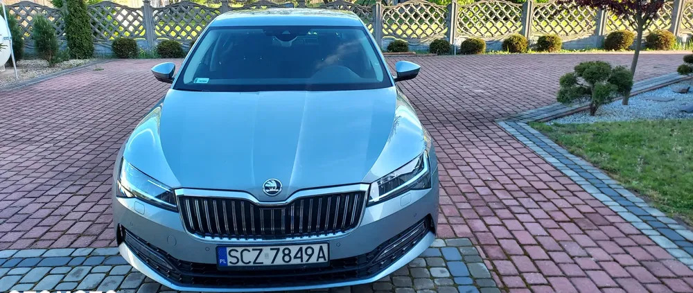 skoda Skoda Superb cena 91900 przebieg: 81900, rok produkcji 2019 z Przedbórz